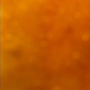 Meet your Posher, Ella